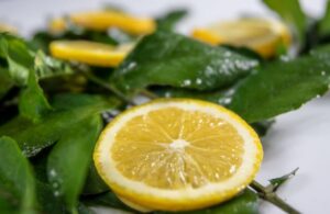 Nimbu